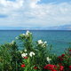 Korfu, Agios Spiridonas