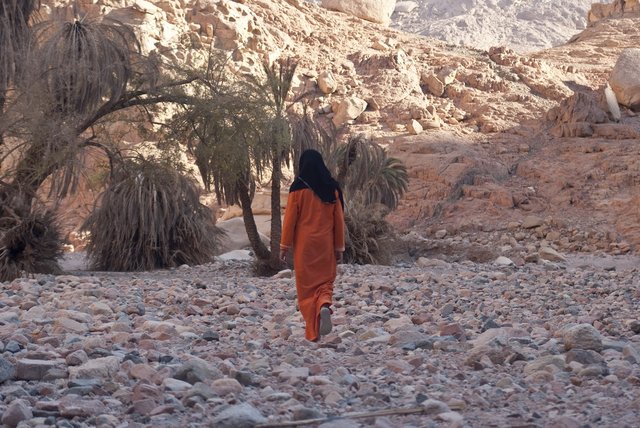 W dal....DAHAB
