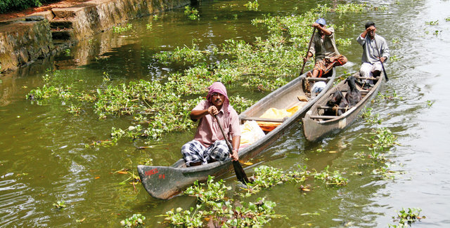 Na rozlewiskach Kerali (tzw. backwaters) podstawowym środkiem transportu są tradycyjne łodzie.