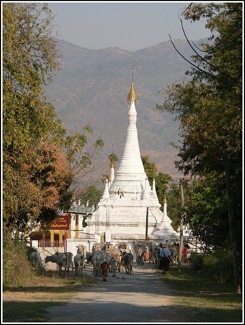 Myanmar 0858