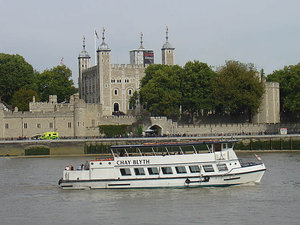 Londyńskie standardy 2009 29
