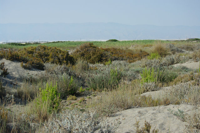 Roquetas de Mar 