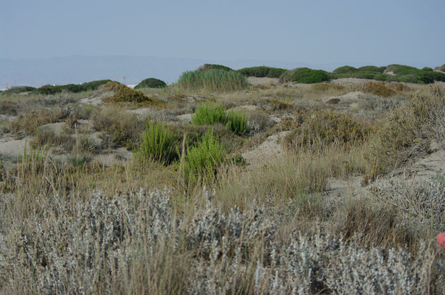 Roquetas de Mar 