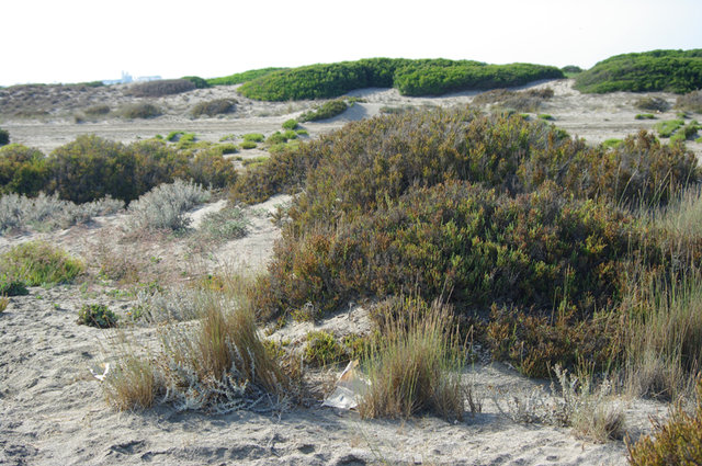Roquetas de Mar 