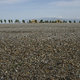 Roquetas de Mar 