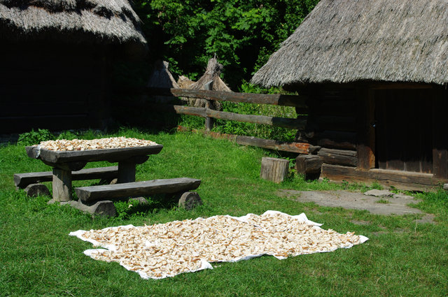 Górnośląski Park Etnograficzny