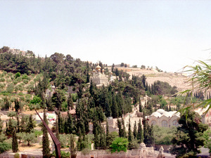 Jerozolima (ירושלים)