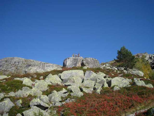 Img 0401