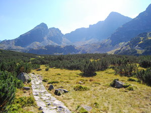 Tatry - hala gąsienicowa