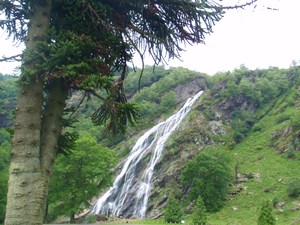 Powerscourt Waterfall z oddali