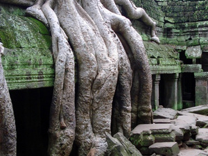 Ta Prohm