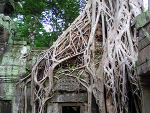 Ta Prohm