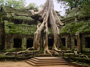 Ta Prohm