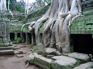 Ta Prohm