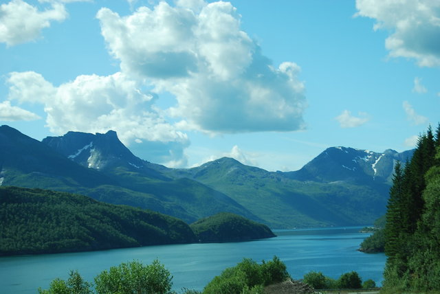 Norge 309