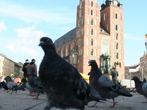 Kraków, Małopolska, Polska