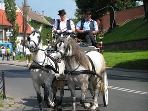 Kraków