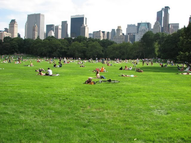 NYC - Central Park