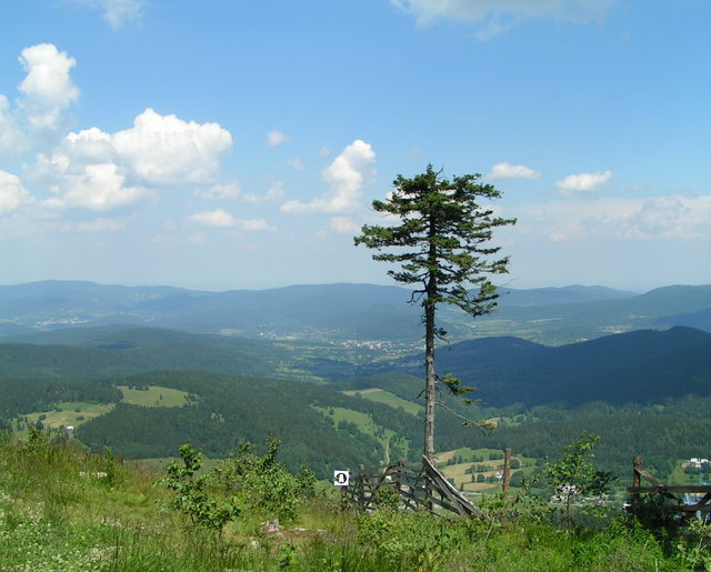 Pict0054