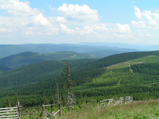 Pict0063
