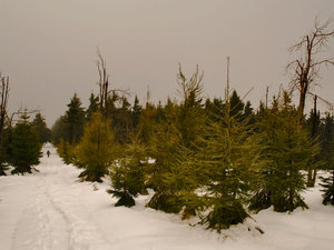 Szklarska Poręba 