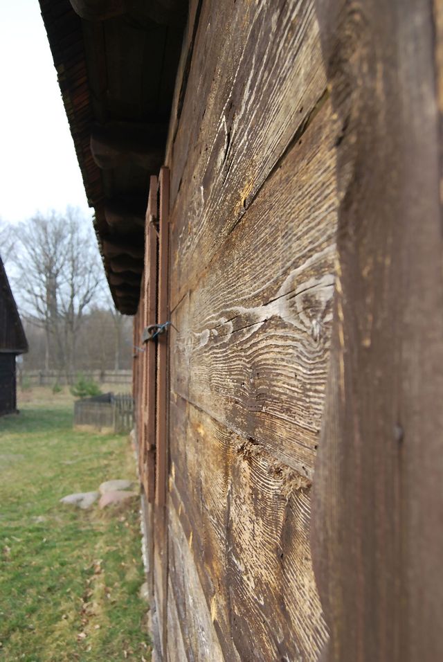 Puszcza Kampinoska