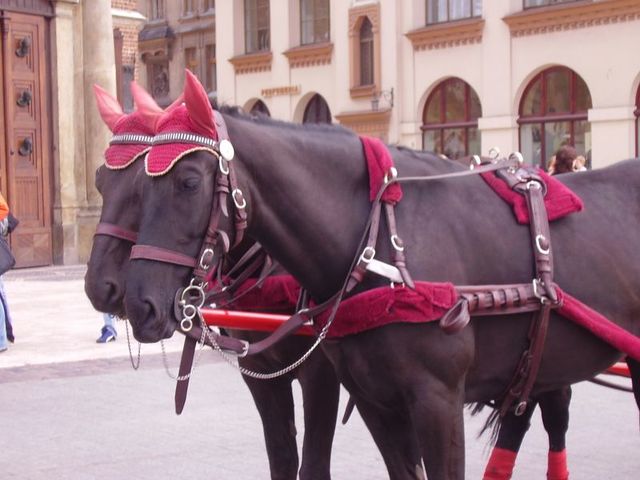 Kraków