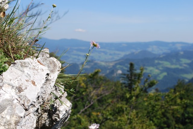 Widok z Trzech Koron