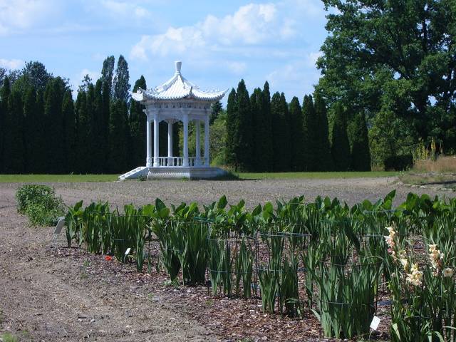 Ogród botaniczny w Powsinie