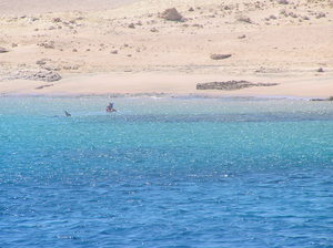 Egipt - Ras Mohamed