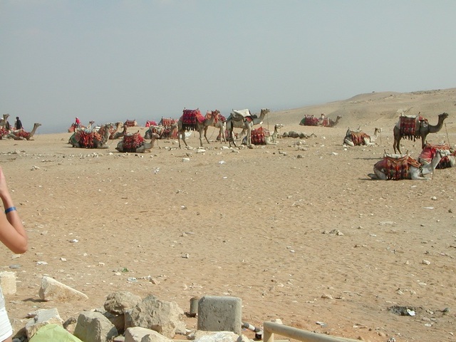 Egipt - Giza