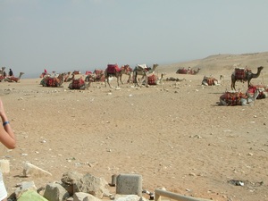 Egipt - Giza