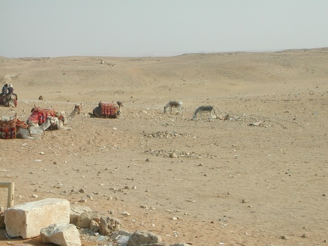 Egipt - Giza