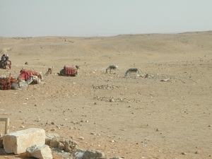 Egipt - Giza