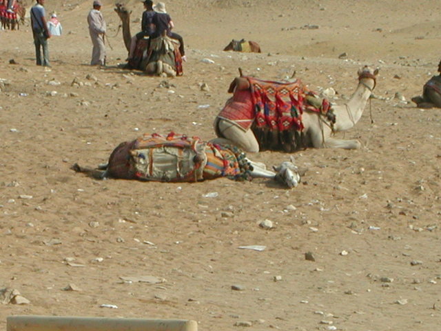 Egipt - Giza