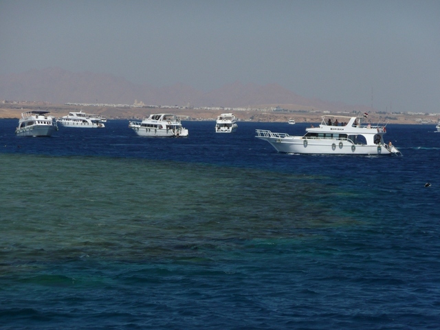 Egipt - Ras Mohamed