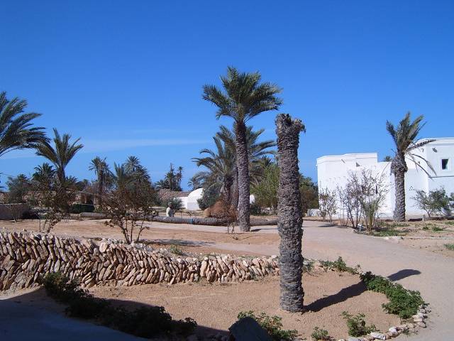 Park Djerba Explore 