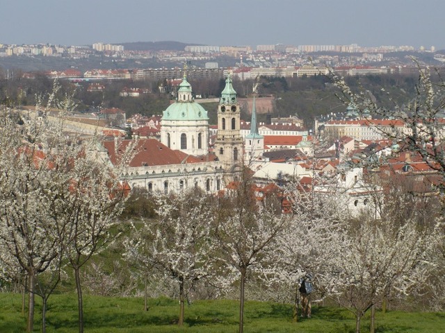 Praska wiosna