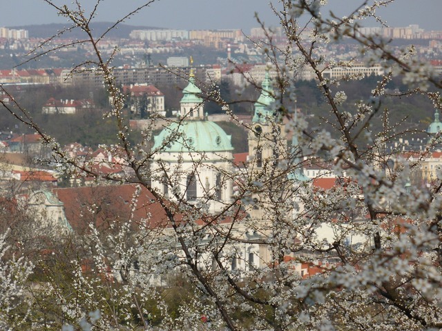 Praska wiosna