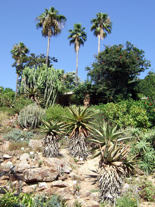 Ogród botaniczny Marimurtra