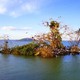 Rotorua