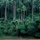 Pagsanjan Falls