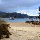 Abel Tasman