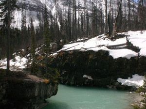 155798 - Canada Kanadyjskie Góry Skaliste