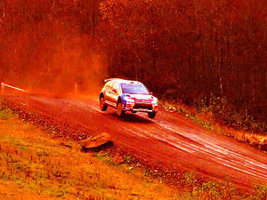 Rally of Great Britain (WRC) - SS16: Rheola