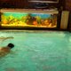 15 akwarium na basenie