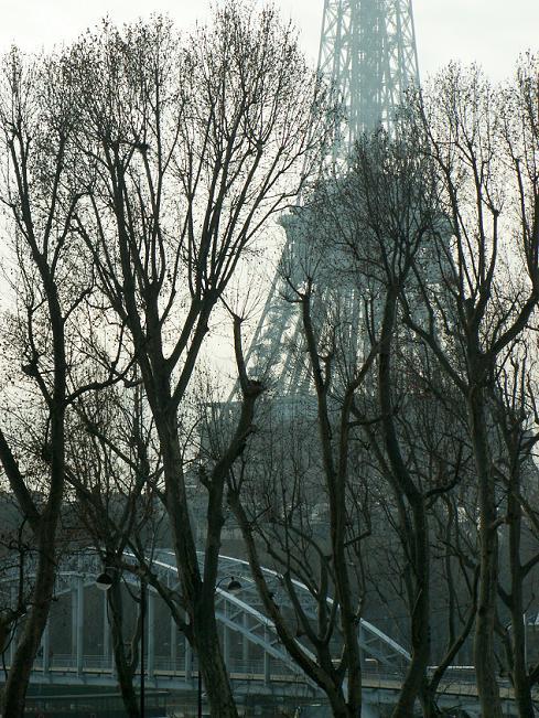 Eifel4