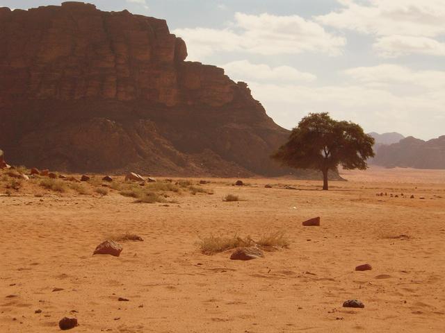 Pustynia Wadi Rum, Jordania