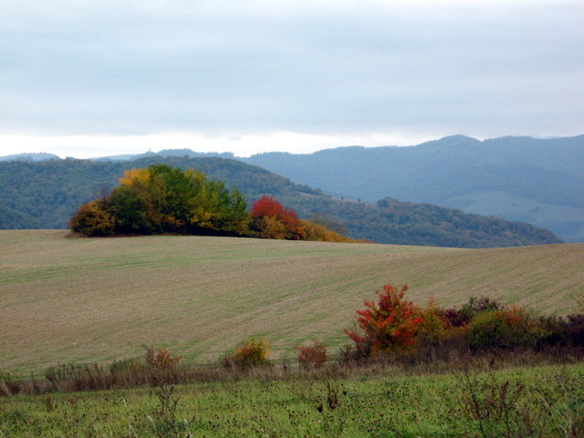 Obraz 095