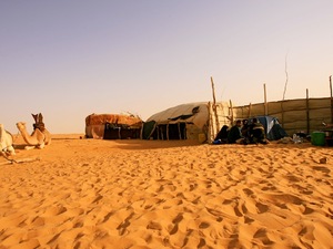 Przez Saharę z namiotem...